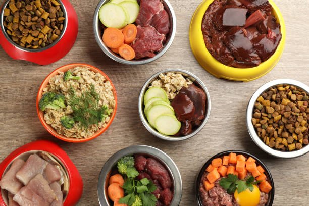 Raw Dog Food Recipes